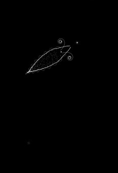 Plankton screenshot 4