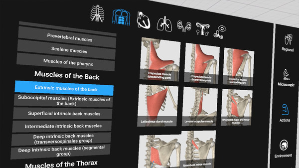 Everyday Anatomy VR screenshot 5