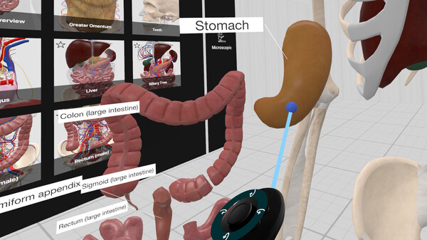 Everyday Anatomy VR screenshot 7
