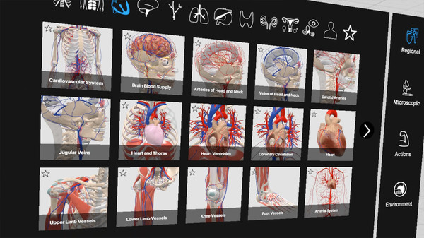 Everyday Anatomy VR screenshot 3
