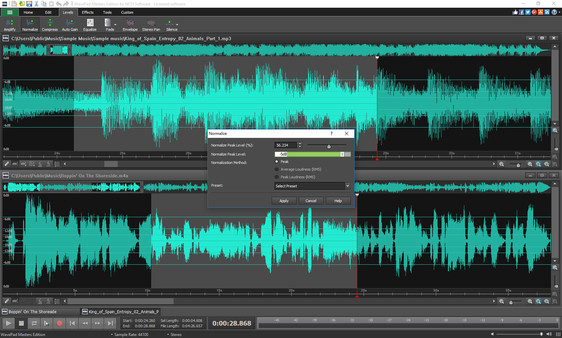 WavePad Audio Editor screenshot 2