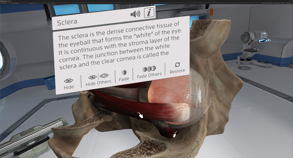 The Physiology of the Eye screenshot 1