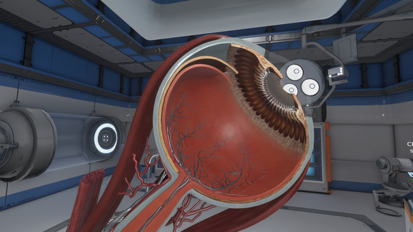 The Physiology of the Eye screenshot 6