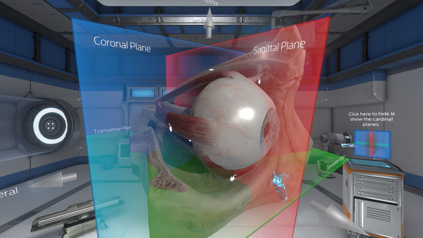 The Physiology of the Eye screenshot 5