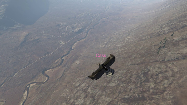 Aquila Bird Flight Simulator screenshot 12