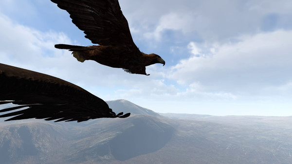 Aquila Bird Flight Simulator screenshot 5
