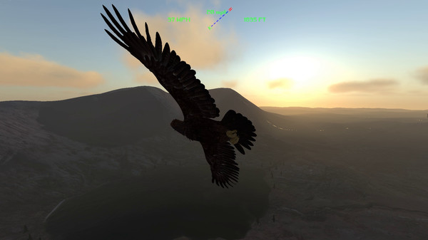 Aquila Bird Flight Simulator screenshot 3