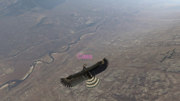 Aquila Bird Flight Simulator screenshot 8
