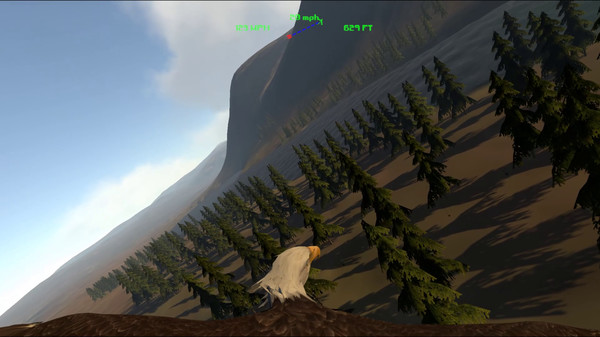 Aquila Bird Flight Simulator screenshot 2