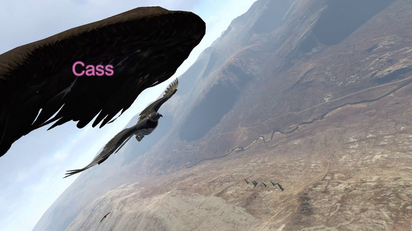 Aquila Bird Flight Simulator screenshot 11