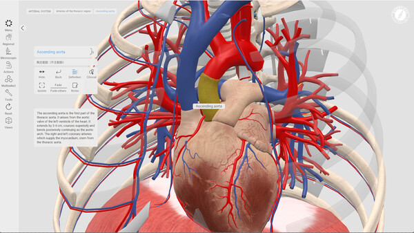 Everyday Anatomy screenshot 1