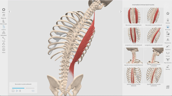 Everyday Anatomy screenshot 7
