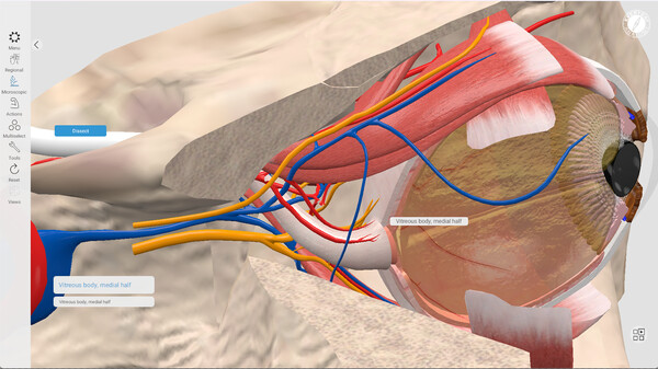 Everyday Anatomy screenshot 8