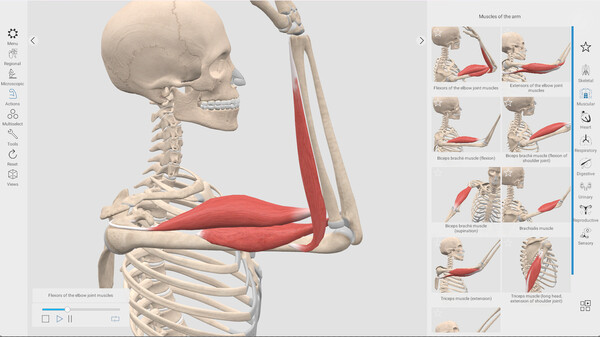 Everyday Anatomy screenshot 2