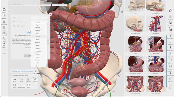 Everyday Anatomy screenshot 3