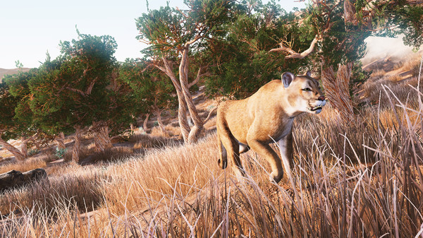 Hunting Simulator screenshot 10