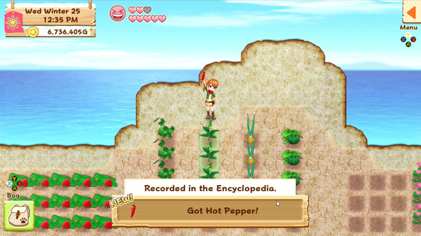 Harvest Moon: Light of Hope Special Edition screenshot 2