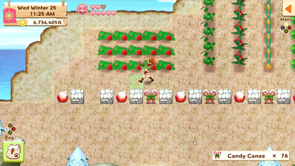 Harvest Moon: Light of Hope Special Edition screenshot 5