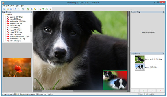 PhotoTangler Collage Maker screenshot 2