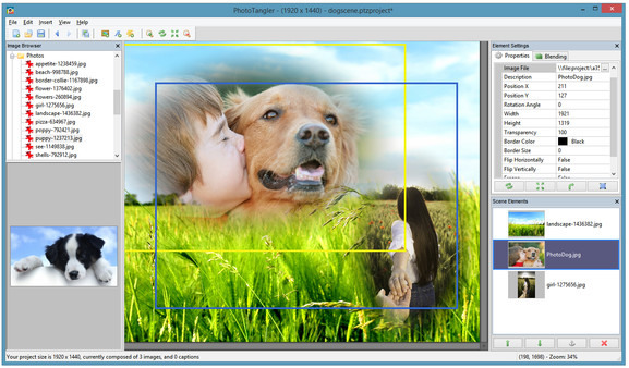 PhotoTangler Collage Maker screenshot 1