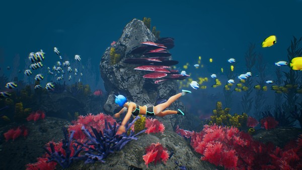 Capsa screenshot 3