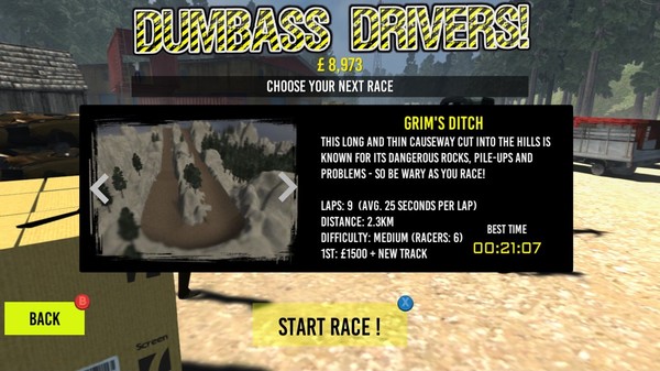 Dumbass Drivers! screenshot 5