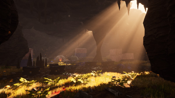 Within the Cosmos screenshot 5