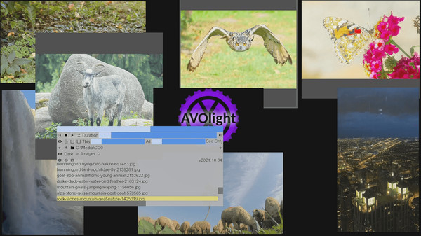 1 multi screen media player gallery video wall photo slideshow wizard app screenshot 6