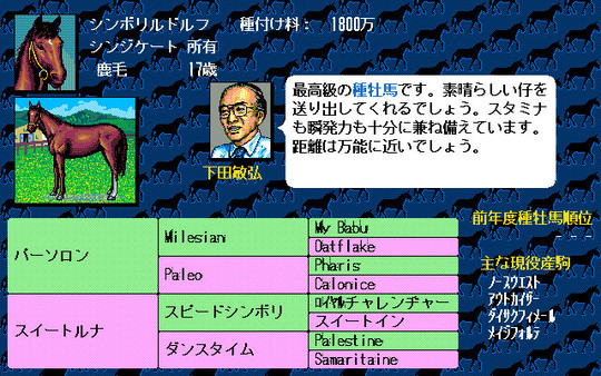 Winning Post screenshot 3