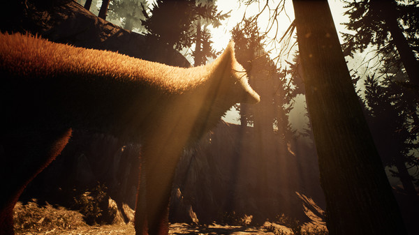 Nephise Begins screenshot 8