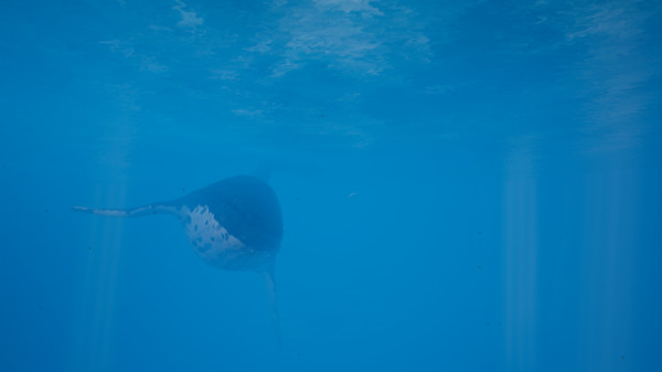 Call of the Ocean screenshot 6