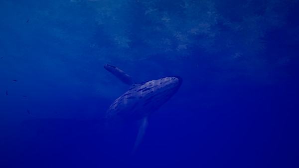 Call of the Ocean screenshot 2