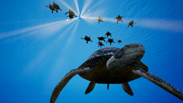 Call of the Ocean screenshot 1