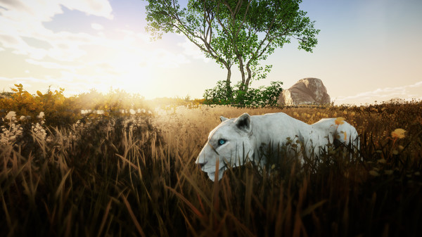 Animallica screenshot 8