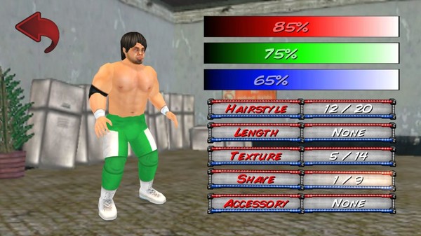 Wrestling Revolution 3D screenshot 2