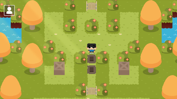 Sokoban Land DX screenshot 1