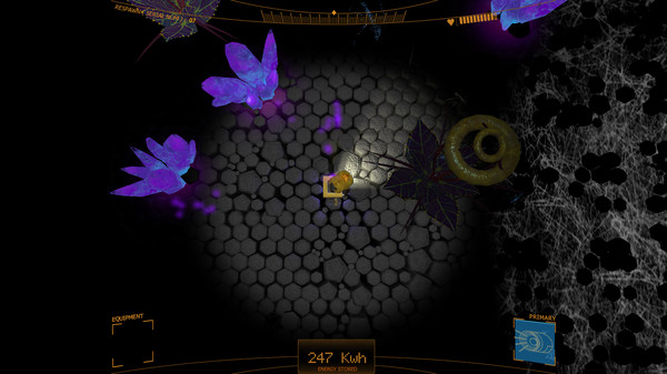 CANARI screenshot 3