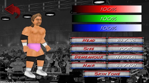 Wrestling Revolution 2D screenshot 2
