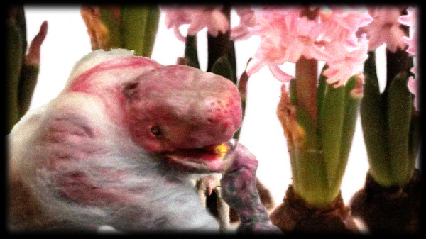 Dujanah screenshot 2
