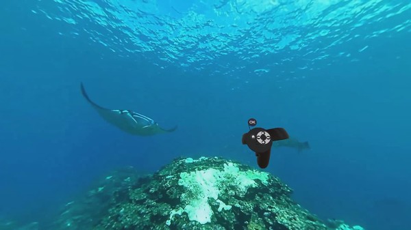 MermaidVR Video Player screenshot 7