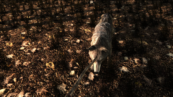 Lost Shipwreck screenshot 6