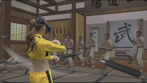 Kung Fu All-Star VR screenshot 2