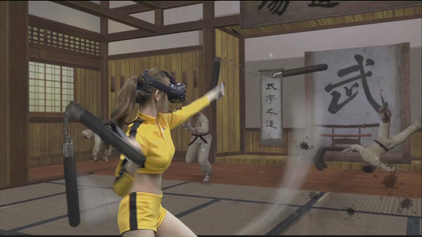Kung Fu All-Star VR screenshot 1
