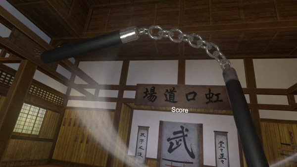 Kung Fu All-Star VR screenshot 5