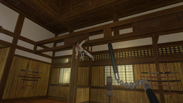 Kung Fu All-Star VR screenshot 3