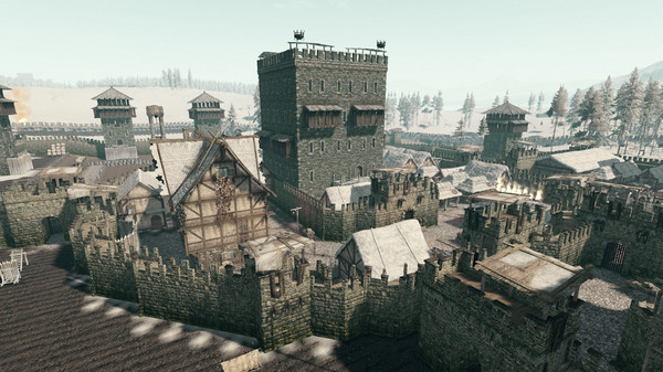 Life is Feudal: MMO screenshot 11