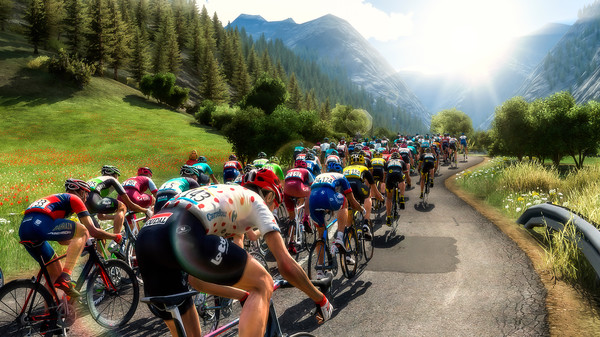 Pro Cycling Manager 2018 screenshot 5