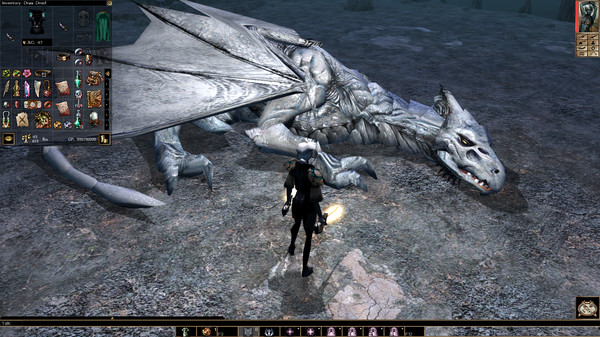 Neverwinter Nights: Enhanced Edition screenshot 4