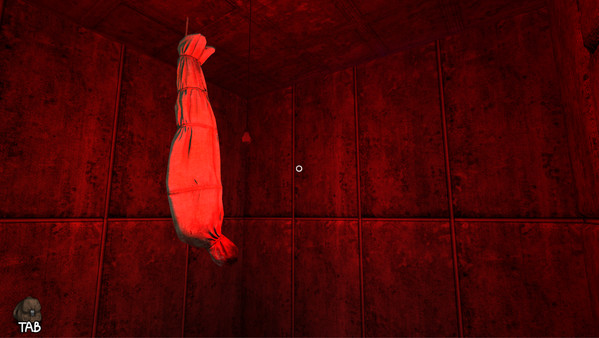 The Mystery Room screenshot 3
