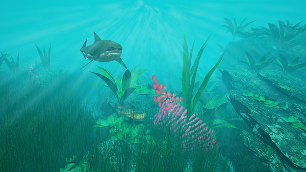 Tropical Escape screenshot 5